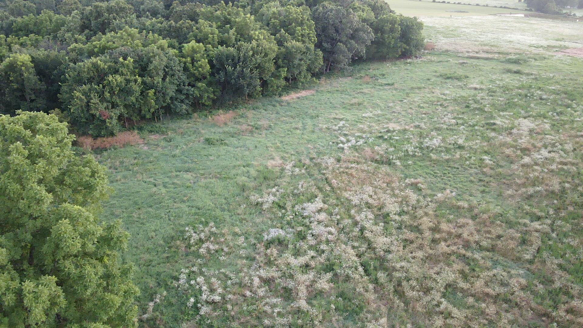 000 Carnell Rd 10 Ac Property Photo 9