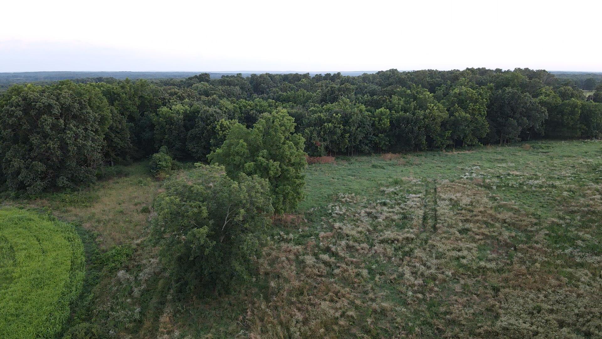 000 Carnell Rd 10 Ac Property Photo 10
