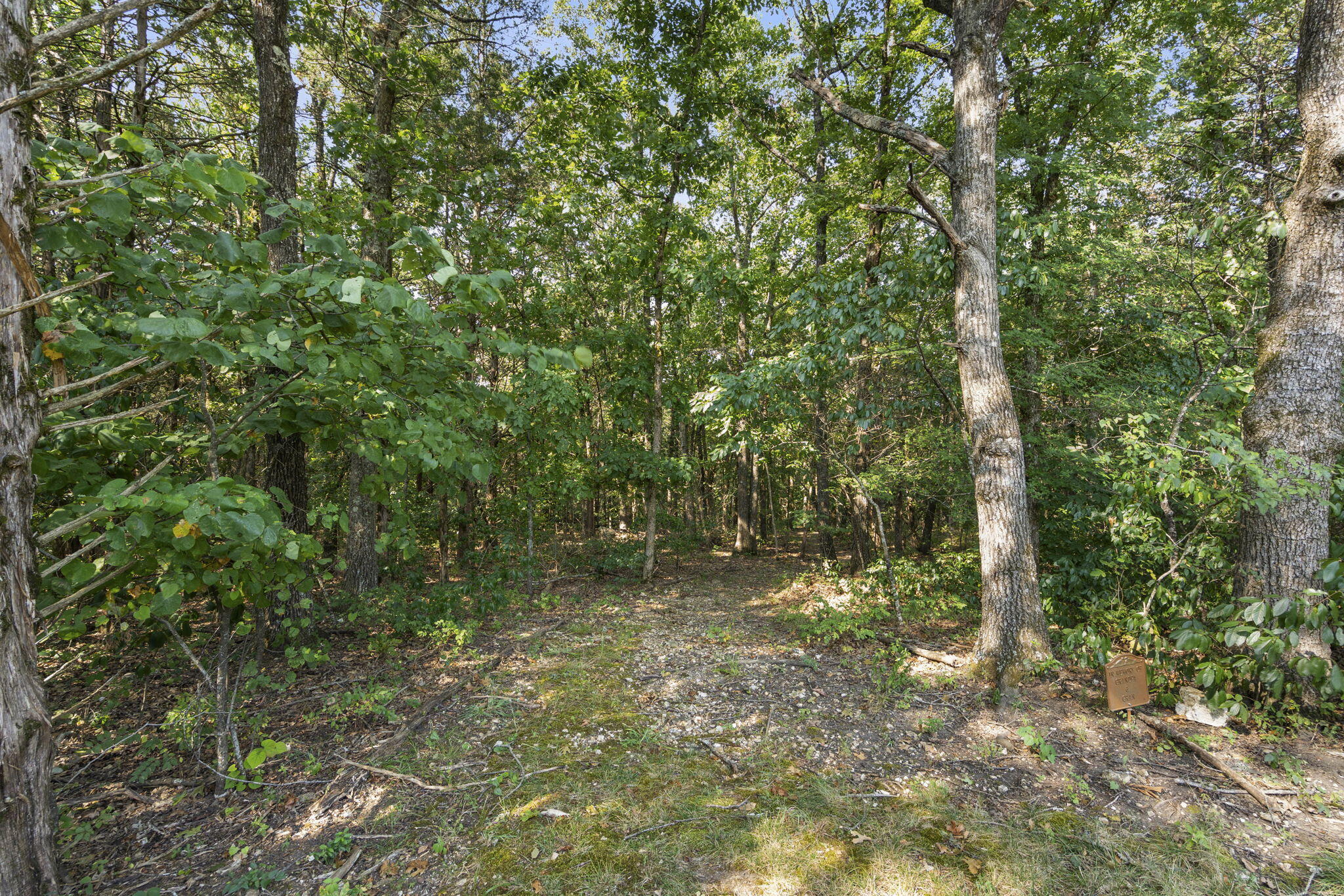 2554 Emory Creek Boulevard Property Photo 32
