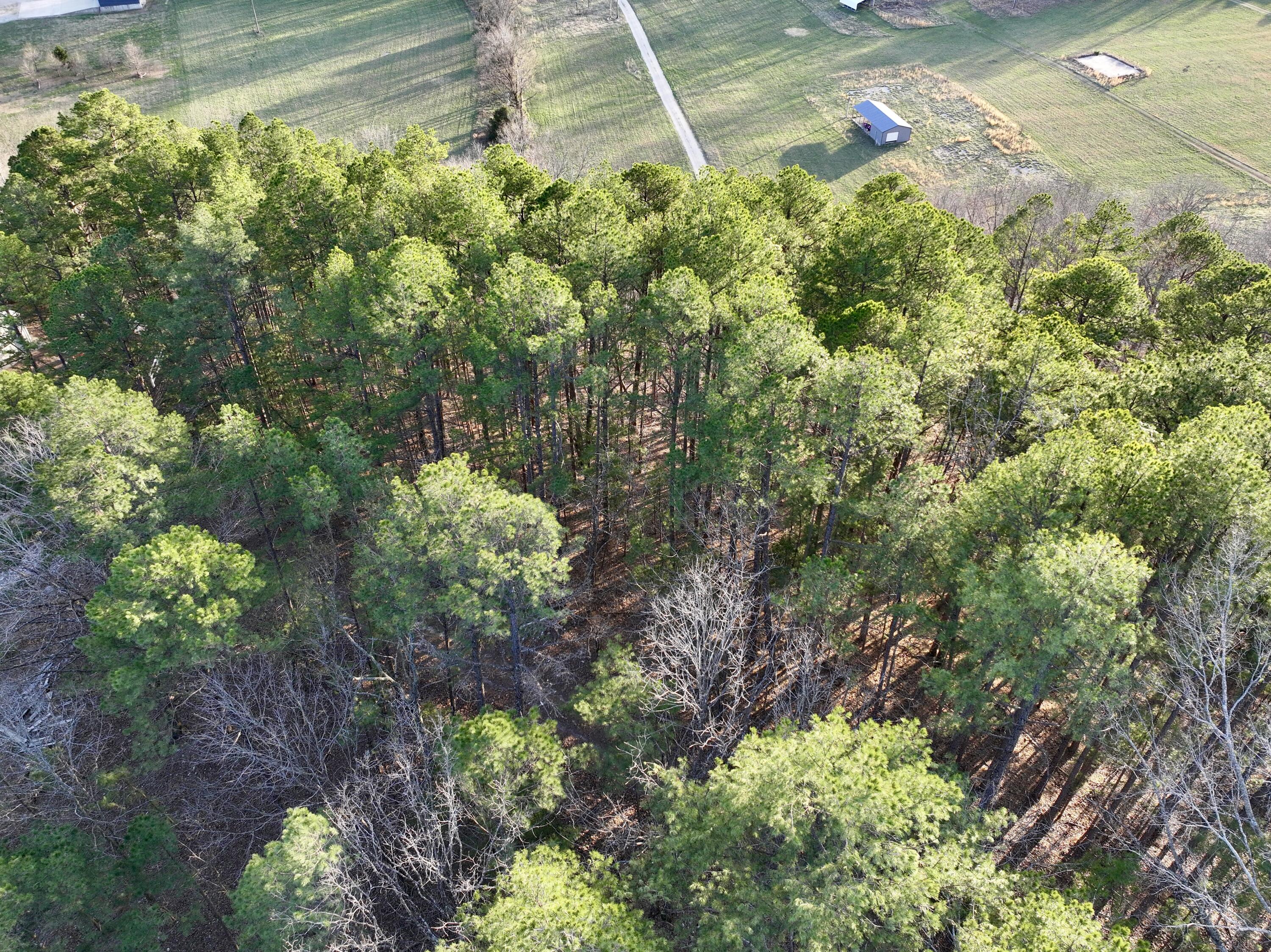 000 Brown Road Lot Property Photo 8