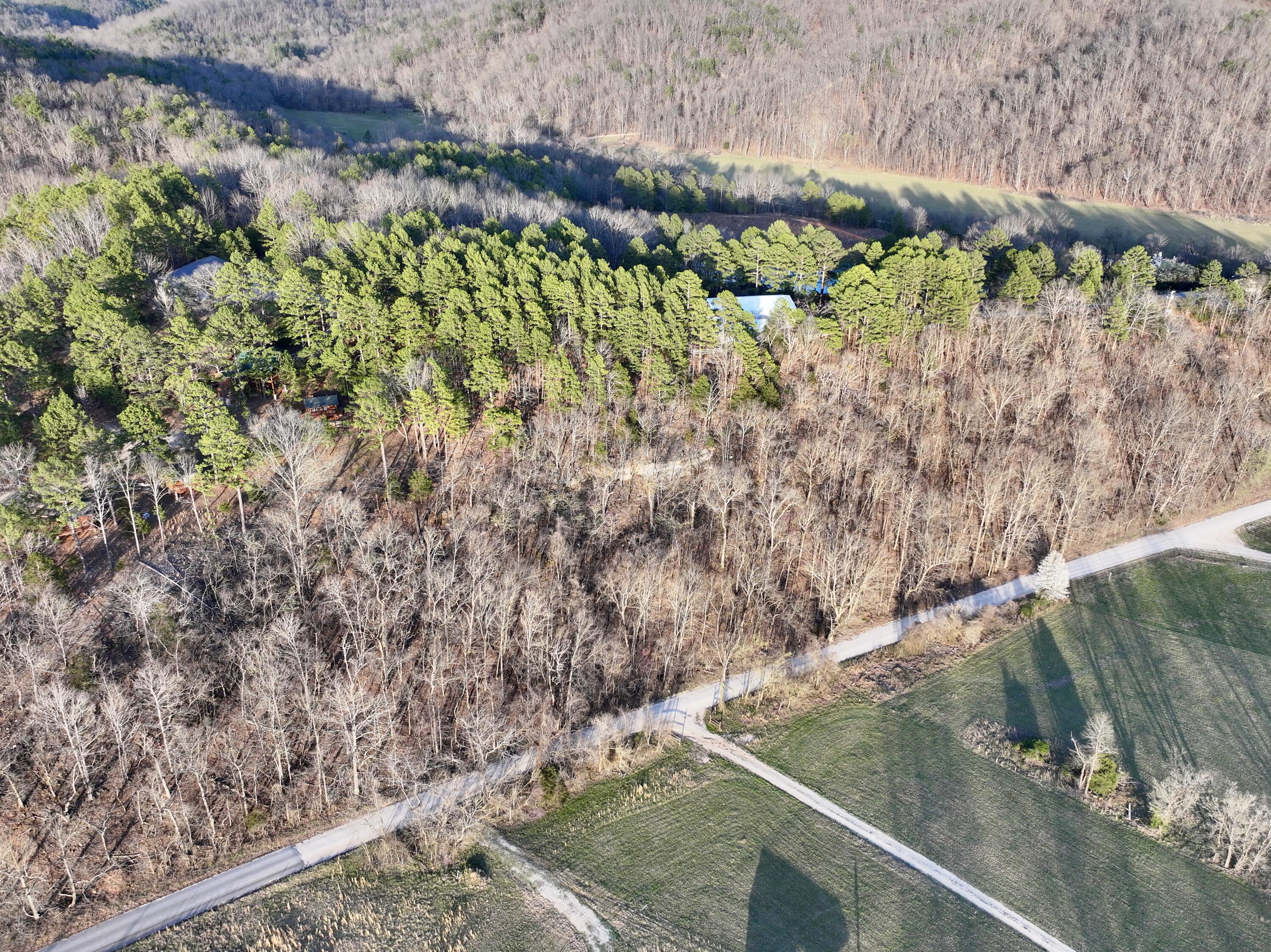 000 Brown Road Lot Property Photo 13