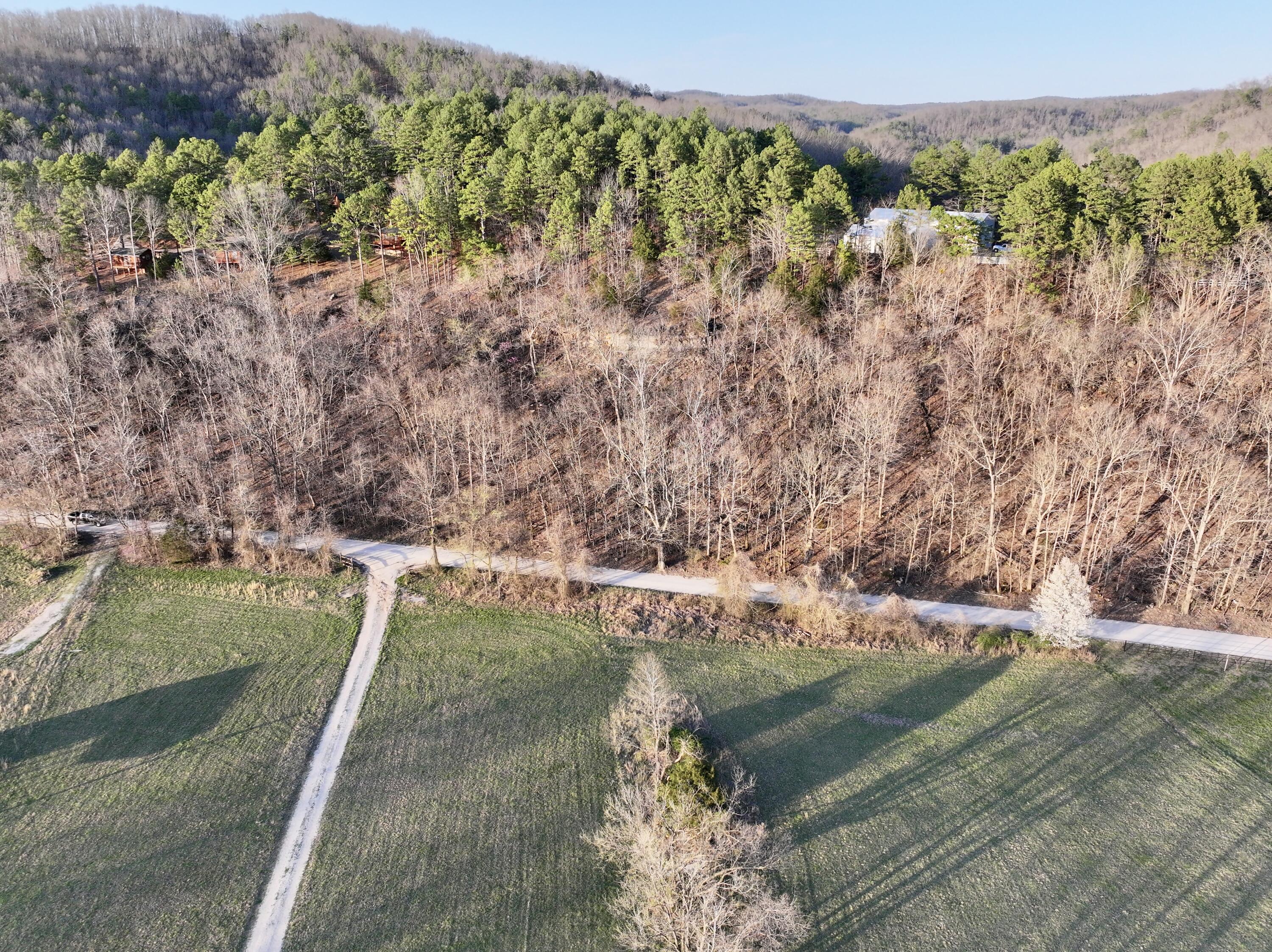 000 Brown Road Lot Property Photo 15