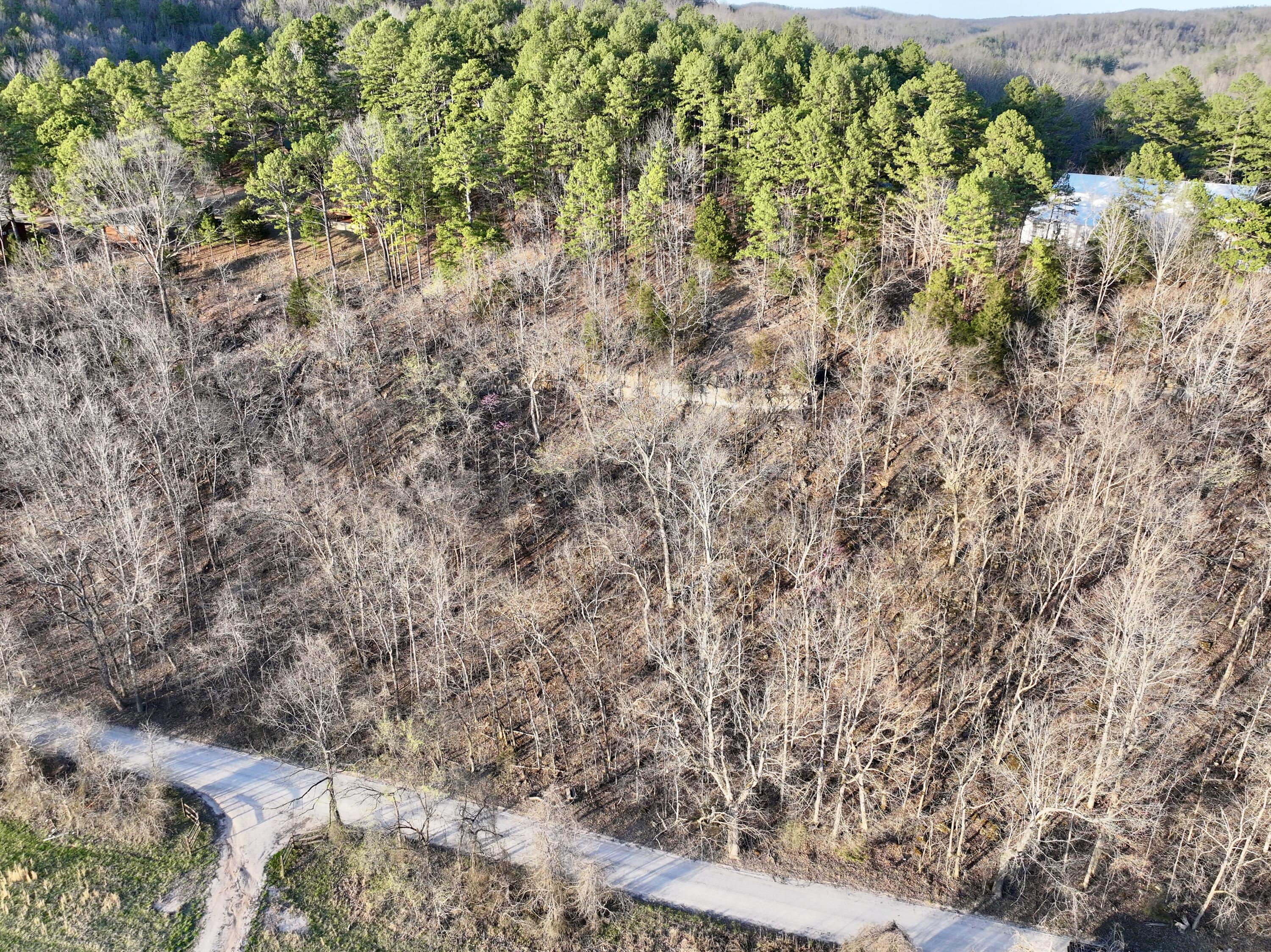 000 Brown Road Lot Property Photo 16