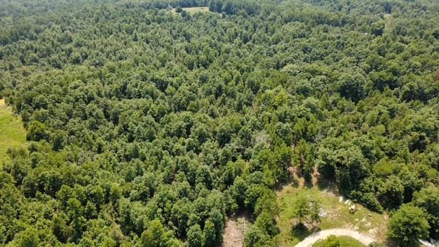 1624 County Road 434 Property Photo 28