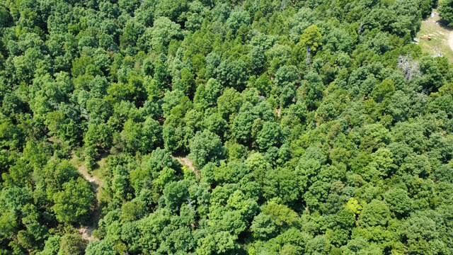 1624 County Road 434 Property Photo 29