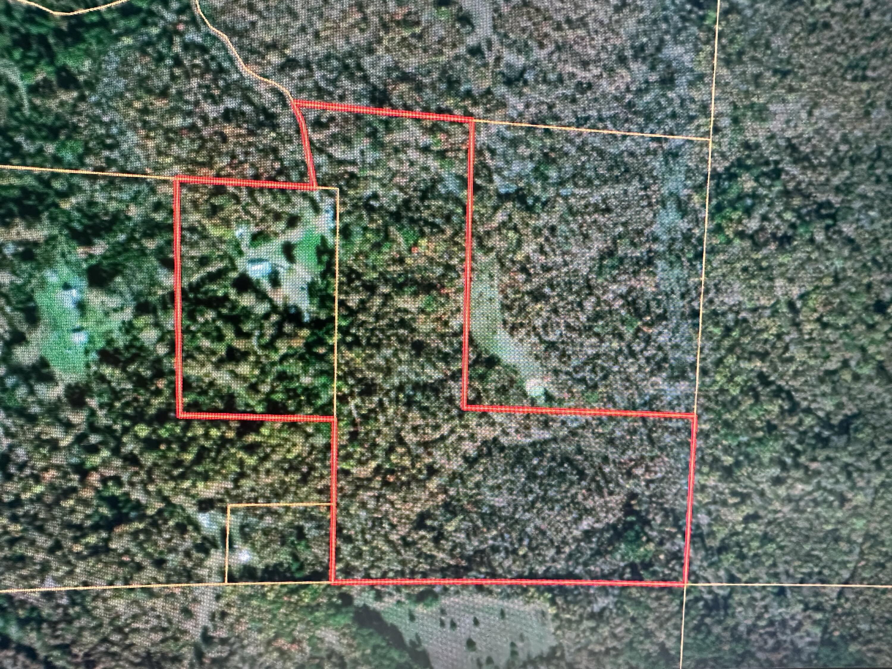 1624 County Road 434 Property Photo 54