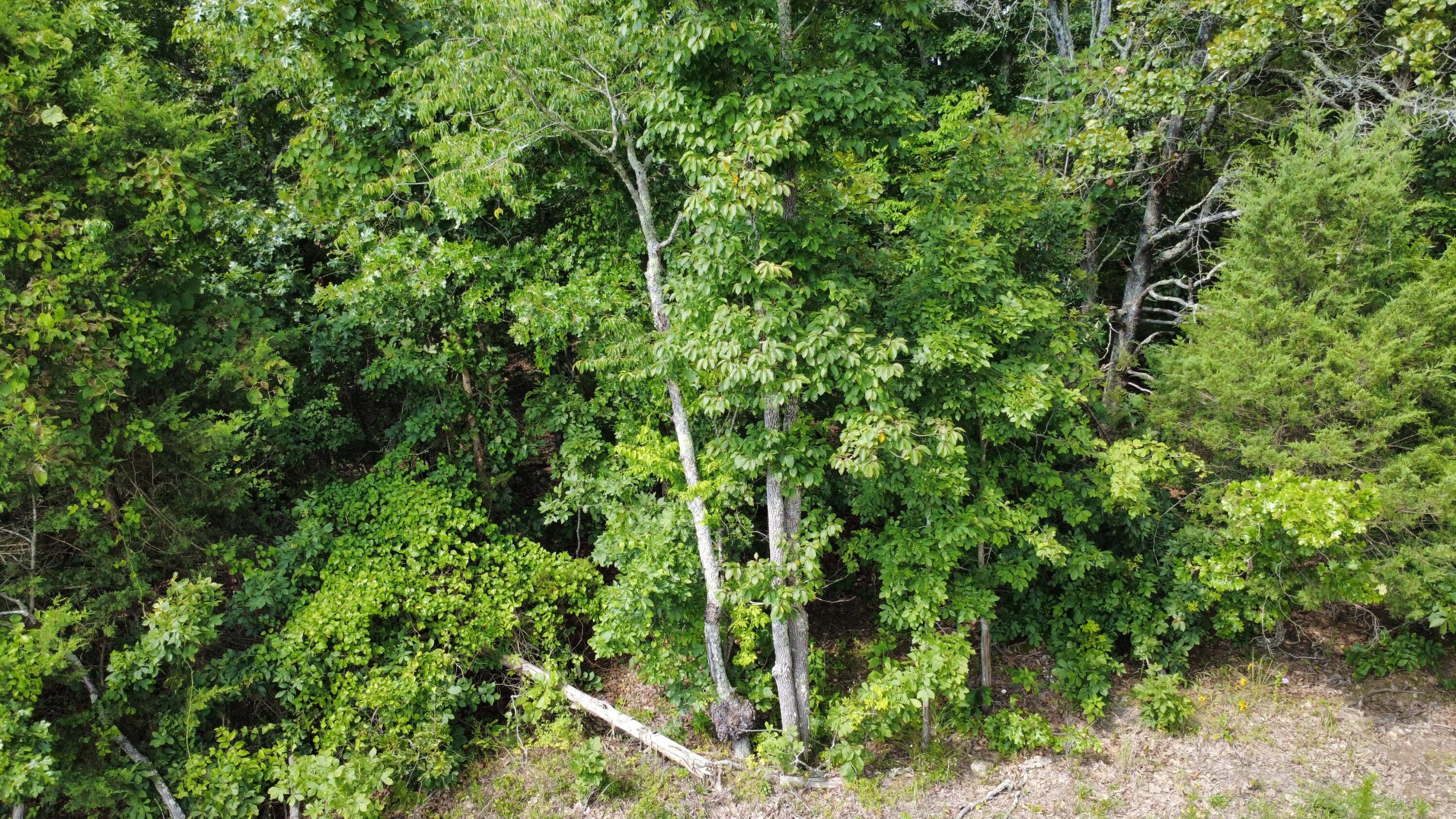 632 Private Road 421-35 Property Photo 3