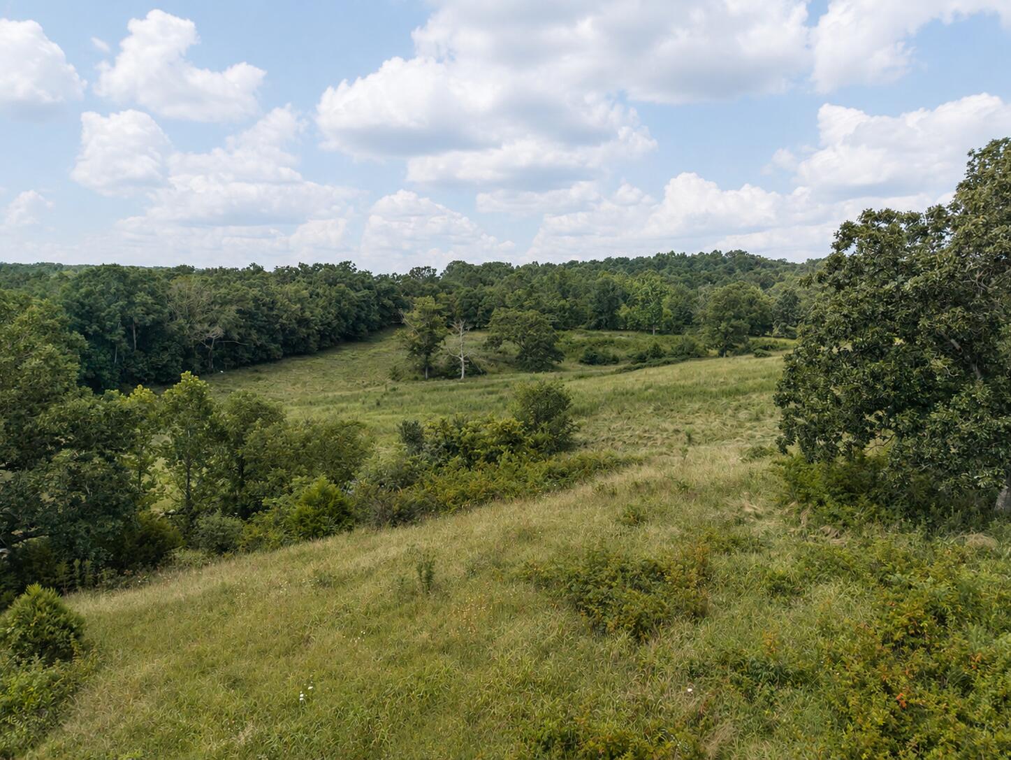 Tbd State Highway E Property Photo 5