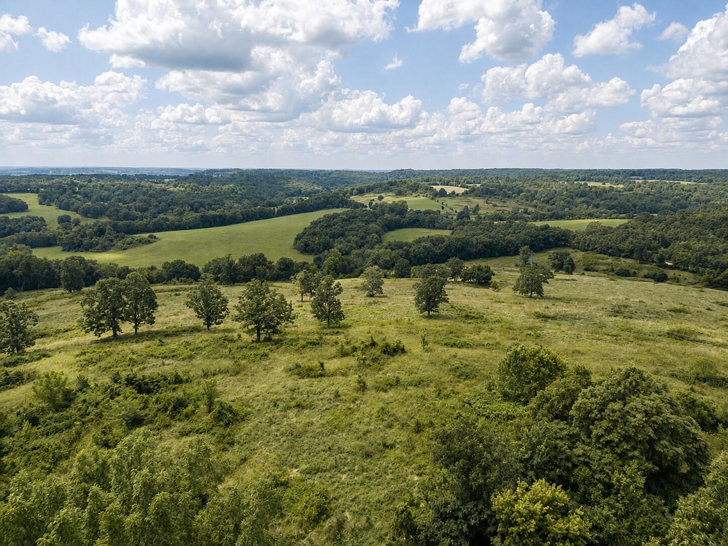 Tbd State Highway E Property Photo 6