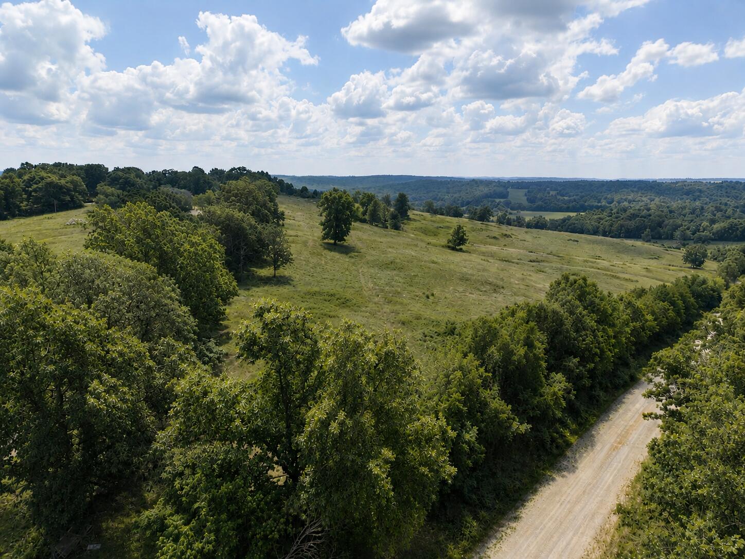 Tbd State Highway E Property Photo 7