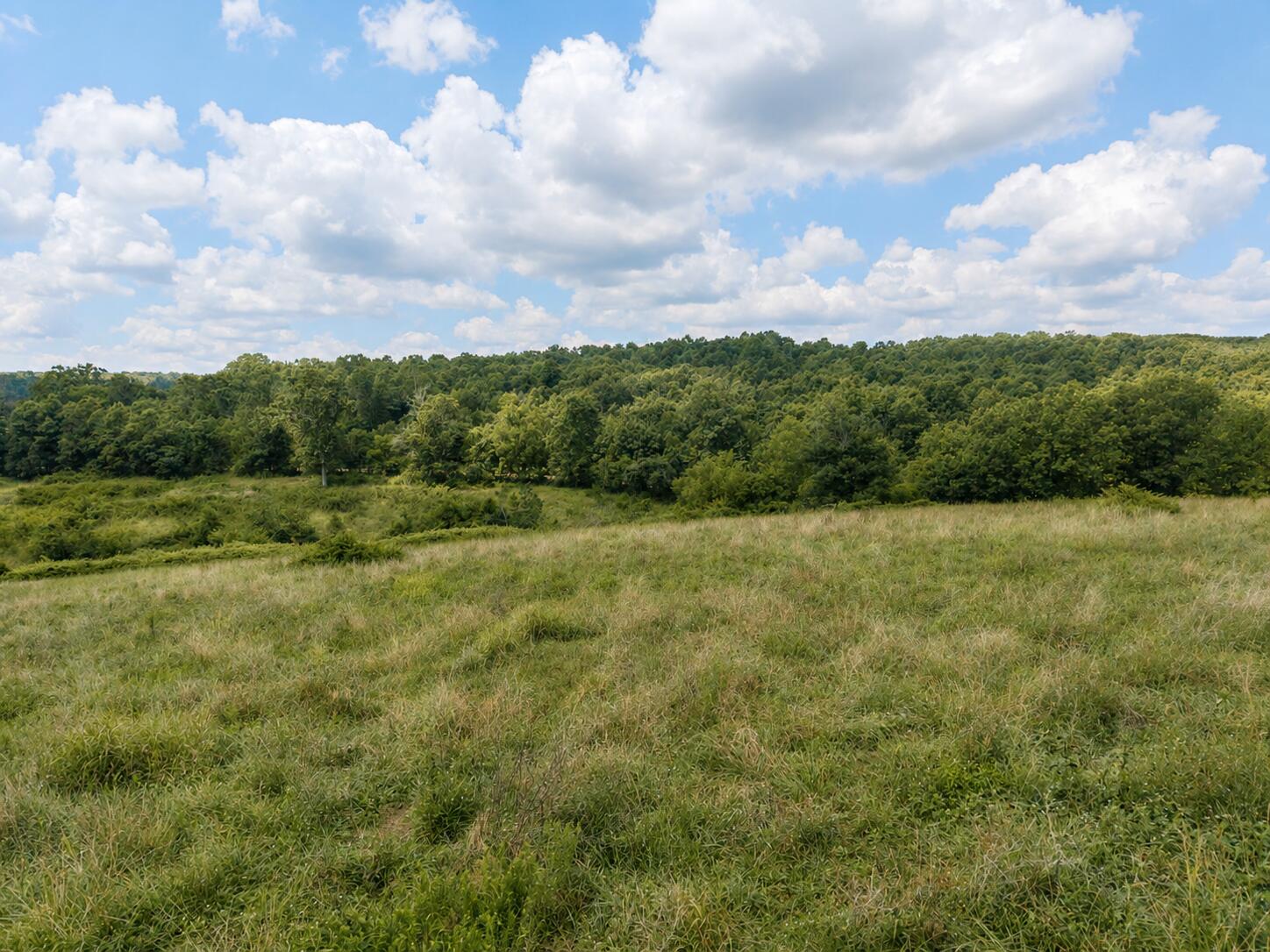 Tbd State Highway E Property Photo 8