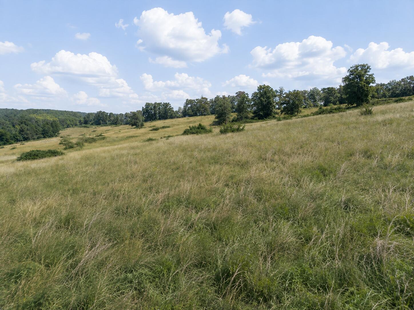 Tbd State Highway E Property Photo 9