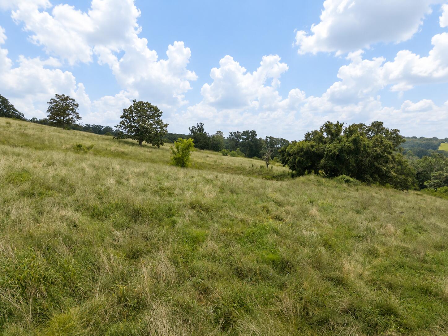 Tbd State Highway E Property Photo 10