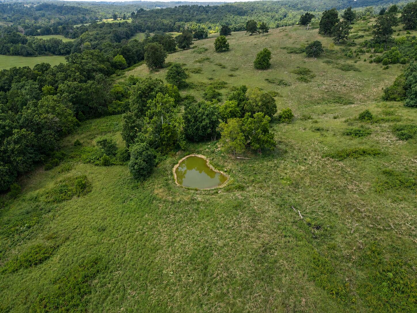 Tbd State Highway E Property Photo 11