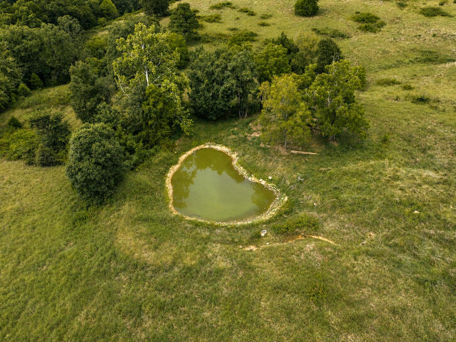 Tbd State Highway E Property Photo 12