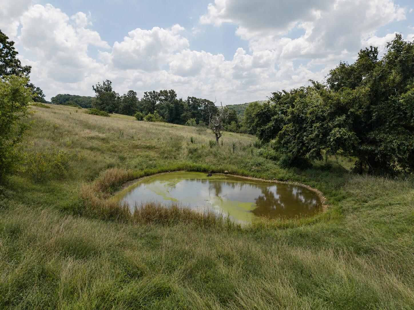Tbd State Highway E Property Photo 13