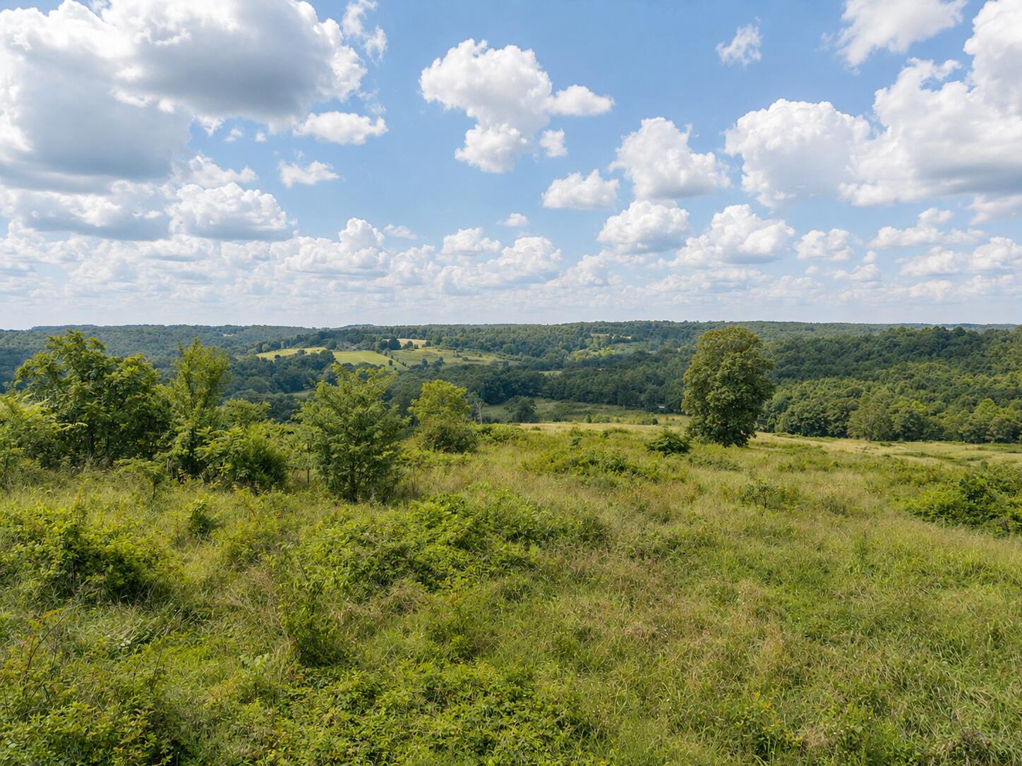 Tbd State Highway E Property Photo 14