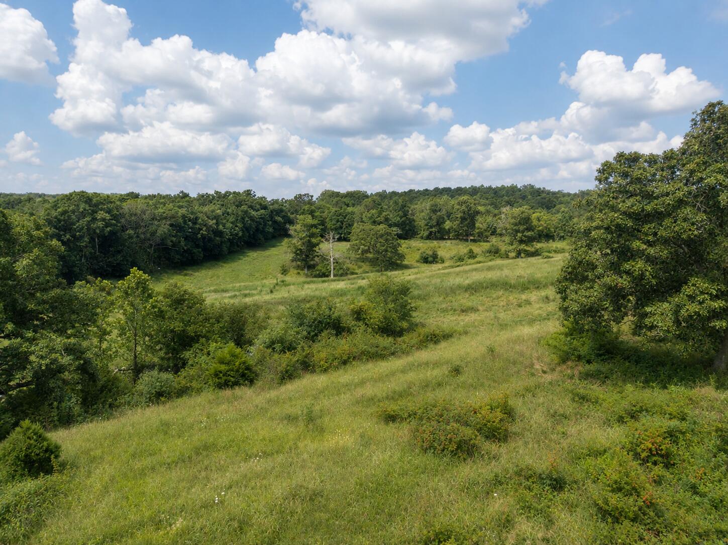 Tbd State Highway E Property Photo 15