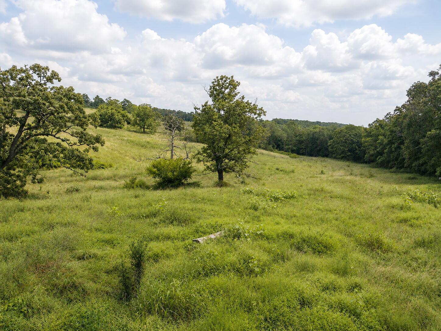 Tbd State Highway E Property Photo 16