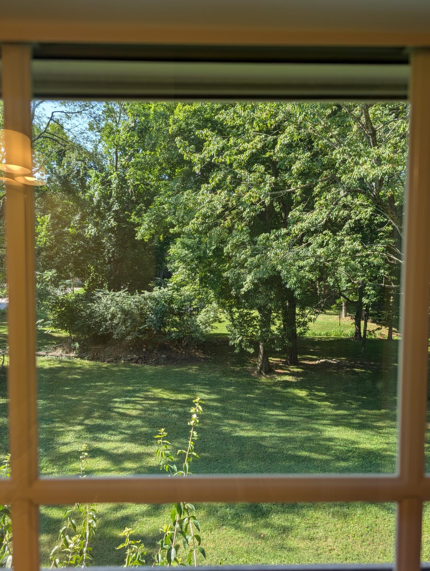 3737 South Oak Avenue Property Photo 25