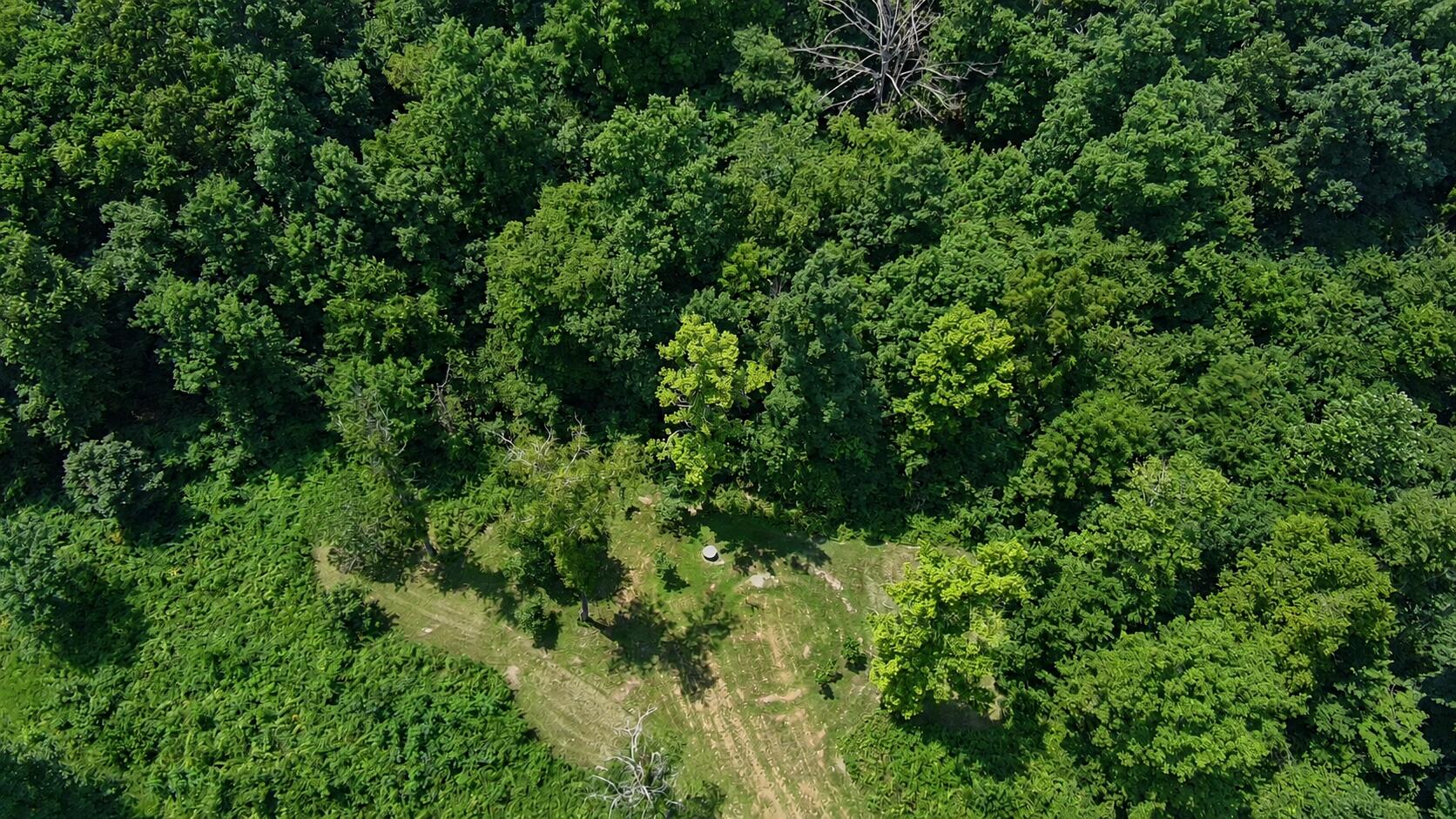 13543 North State Highway 5 Property Photo 4