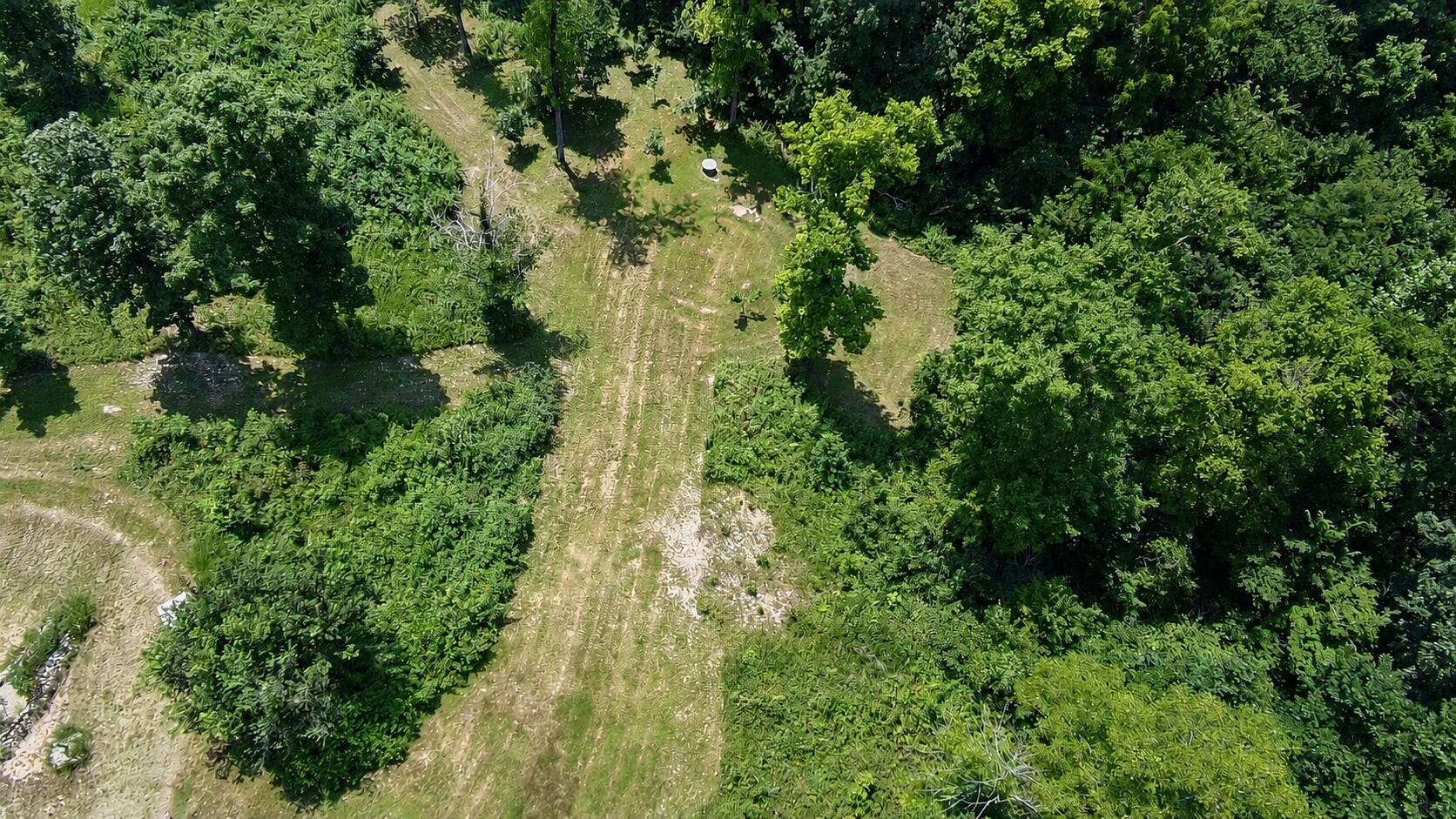 13543 North State Highway 5 Property Photo 6
