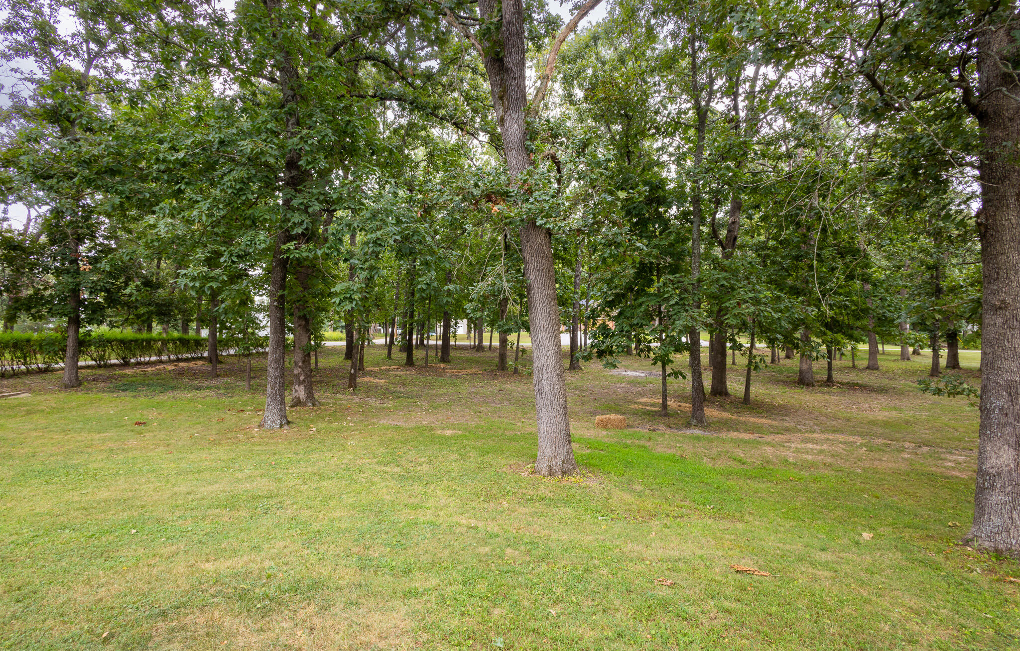 23024 Lawrence 1200 Property Photo 10