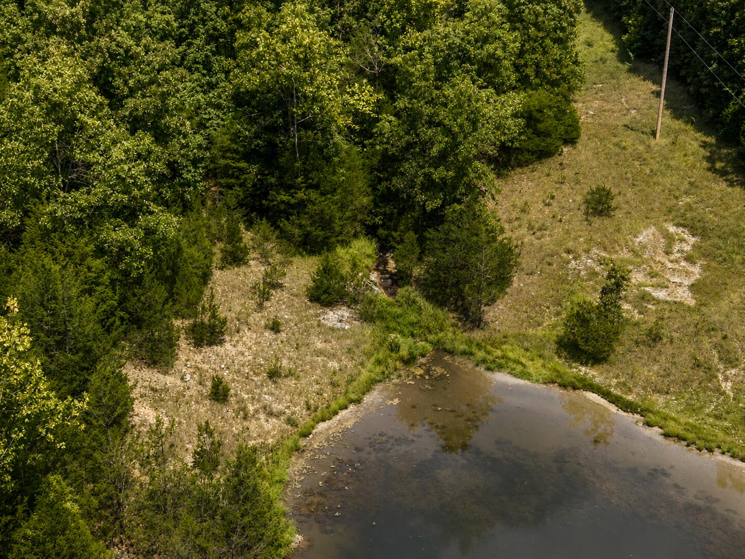 000 State Highway E Property Photo 10