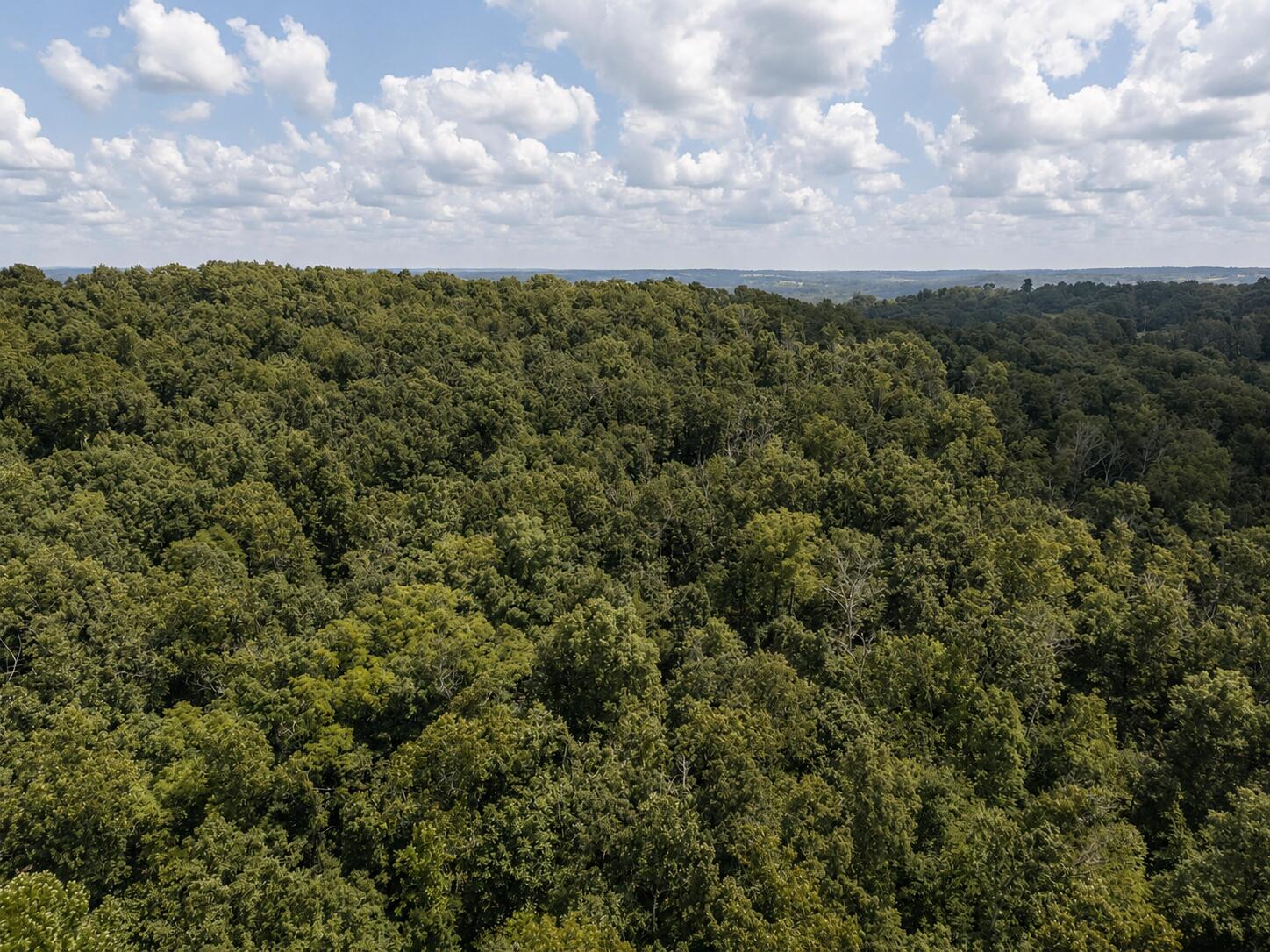 000 State Highway E Property Photo 11