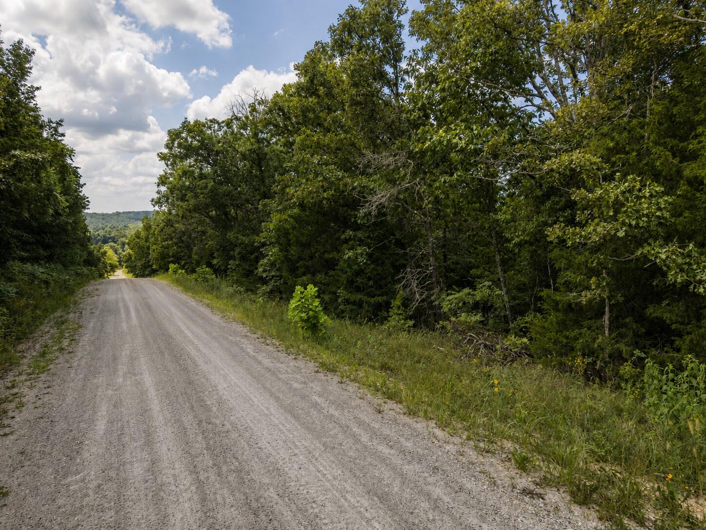 000 State Highway E Property Photo 13