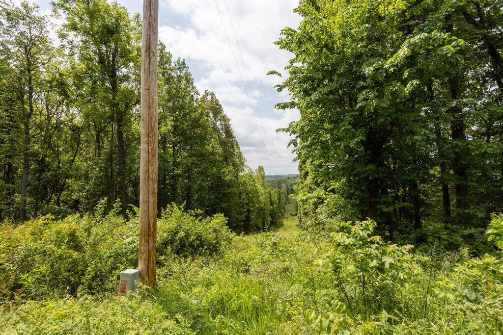 000 State Highway E Property Photo 16