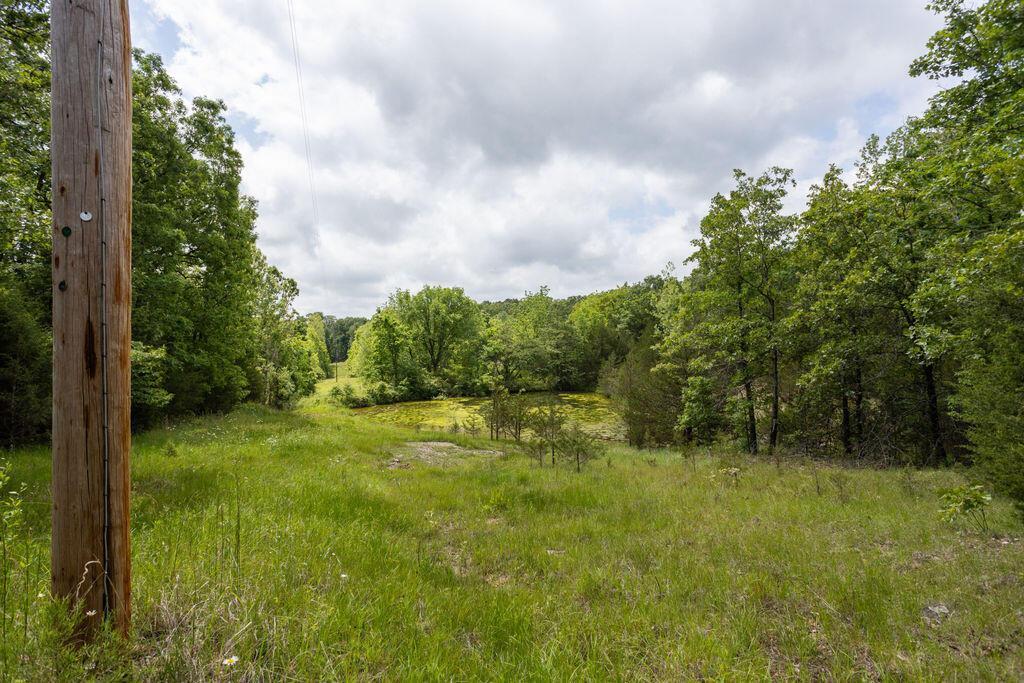 000 State Highway E Property Photo 17
