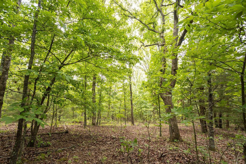 000 State Highway E Property Photo 18