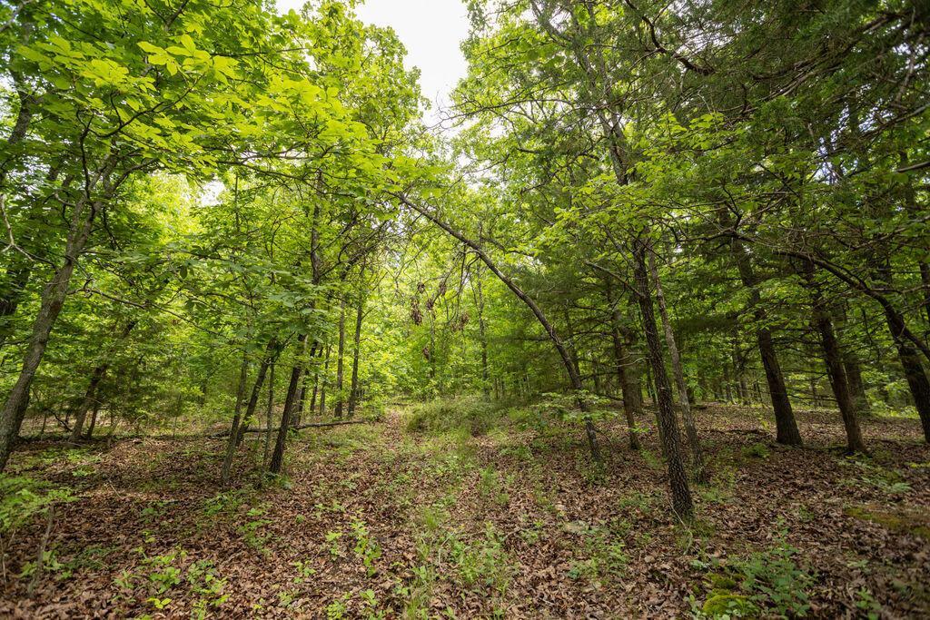 000 State Highway E Property Photo 19