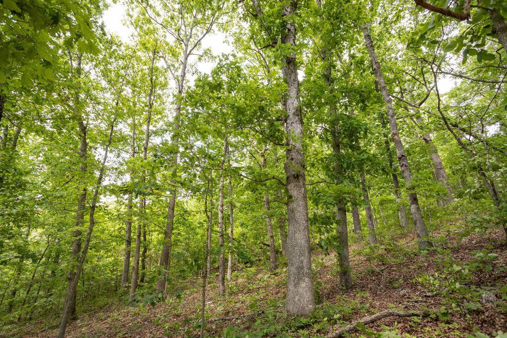 000 State Highway E Property Photo 20
