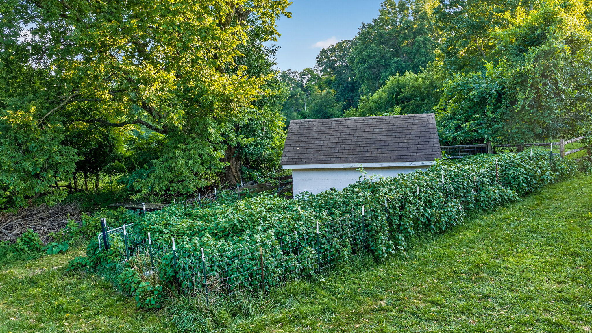 851 West Stonehill Road Property Photo 66