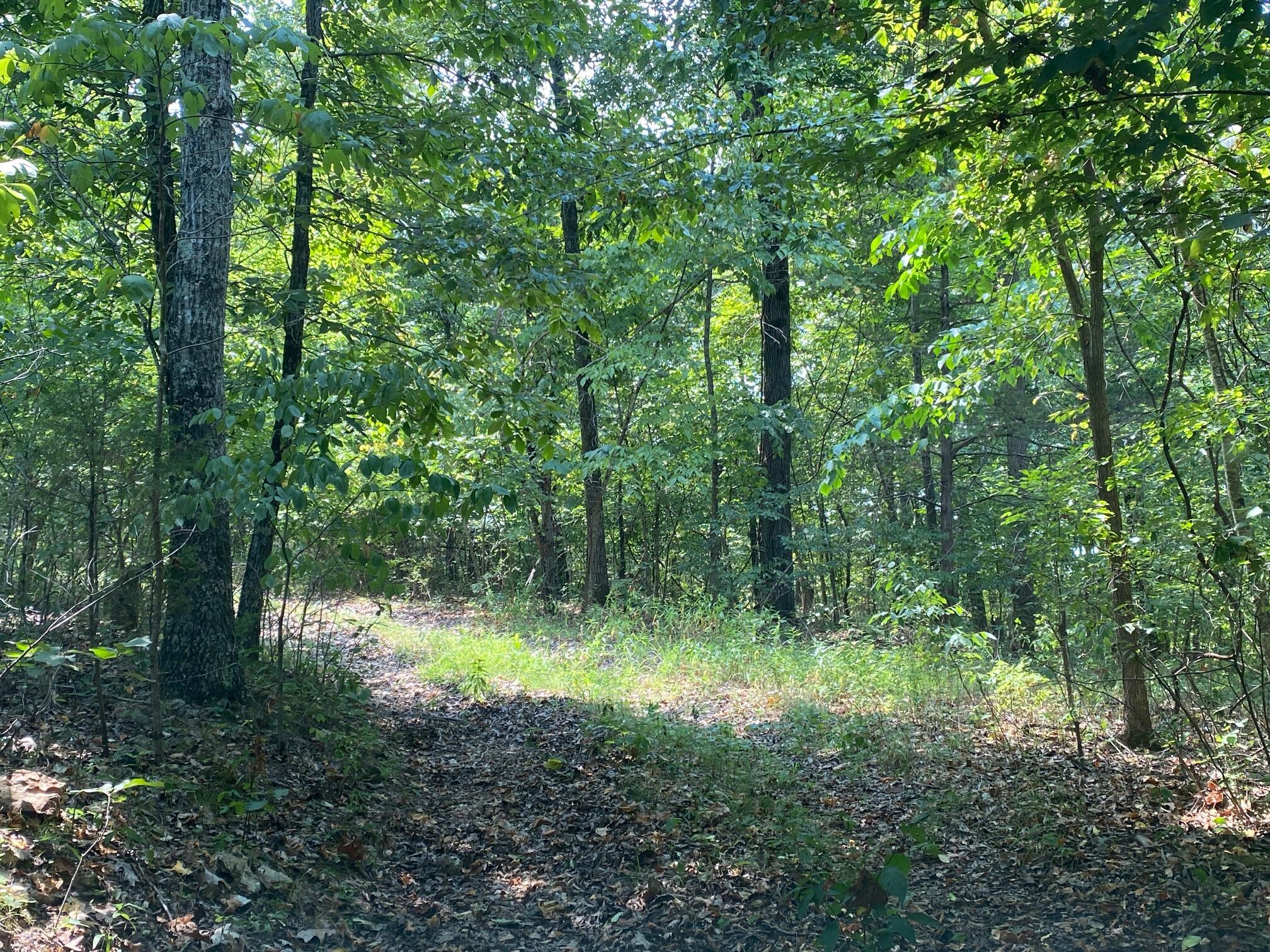 6775 State Highway 173 Property Photo 3