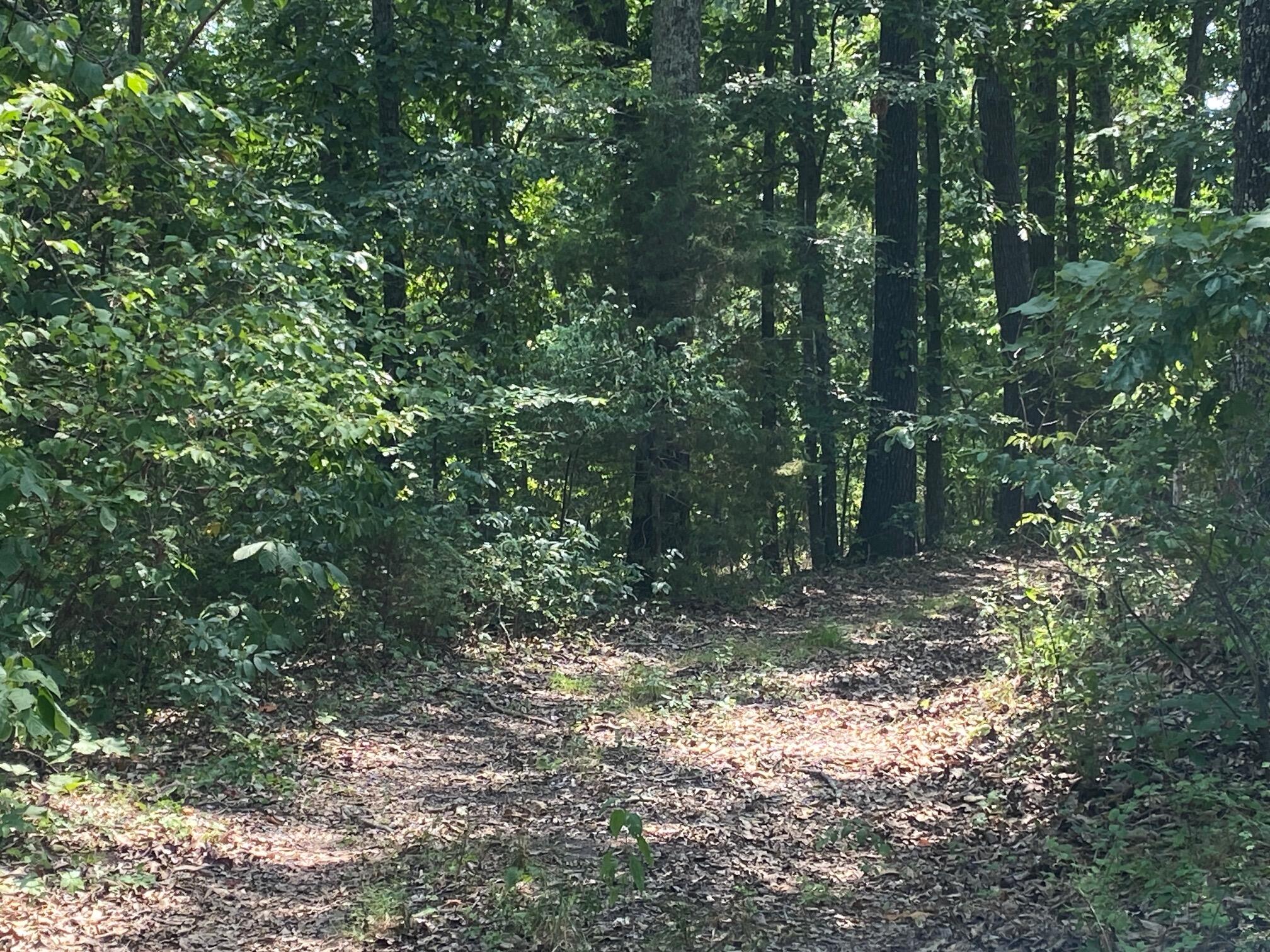 6775 State Highway 173 Property Photo 9