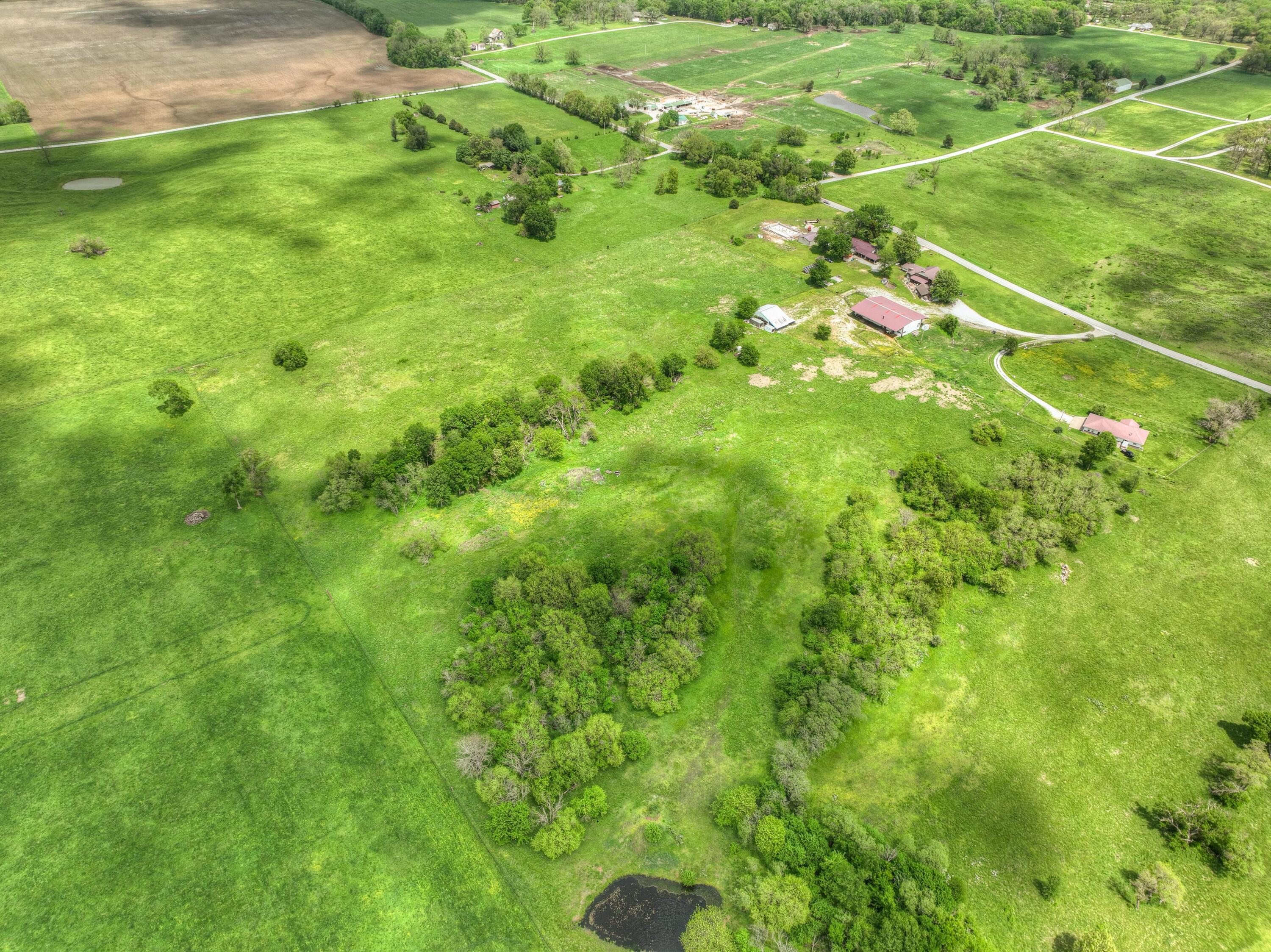 Tbd County Road 110 Property Photo 7