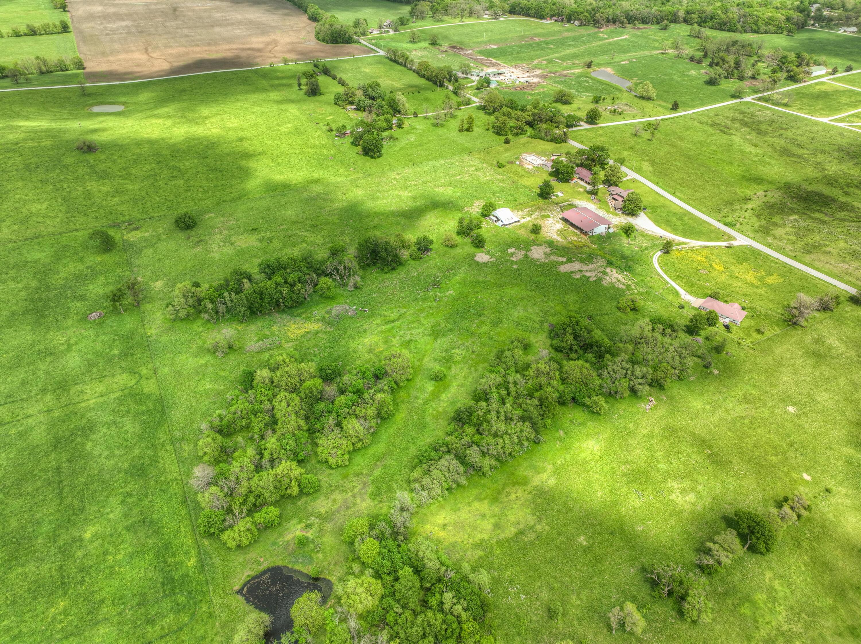 Tbd County Road 110 Property Photo 8