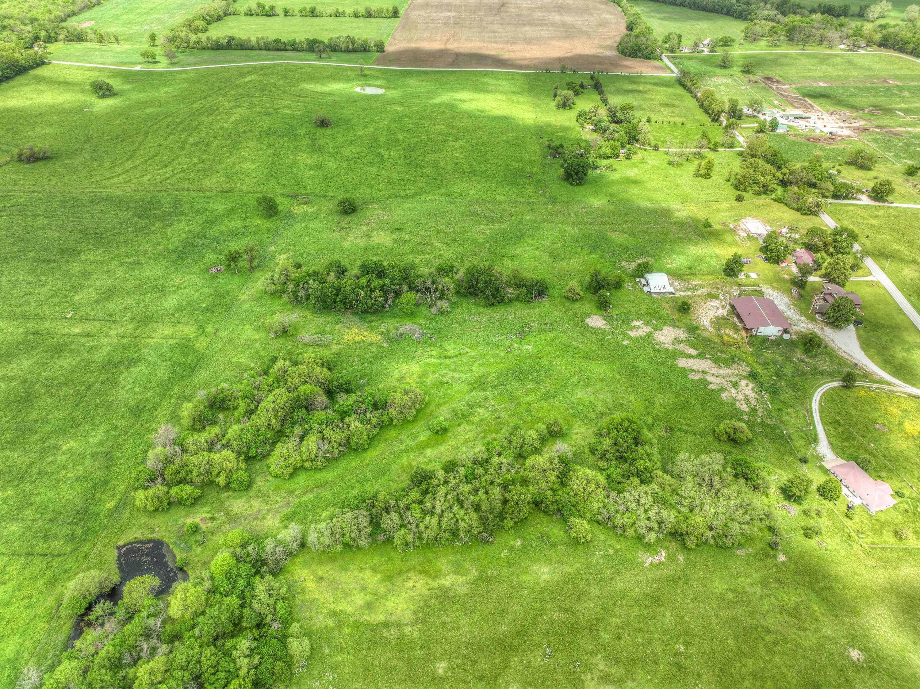Tbd County Road 110 Property Photo 9