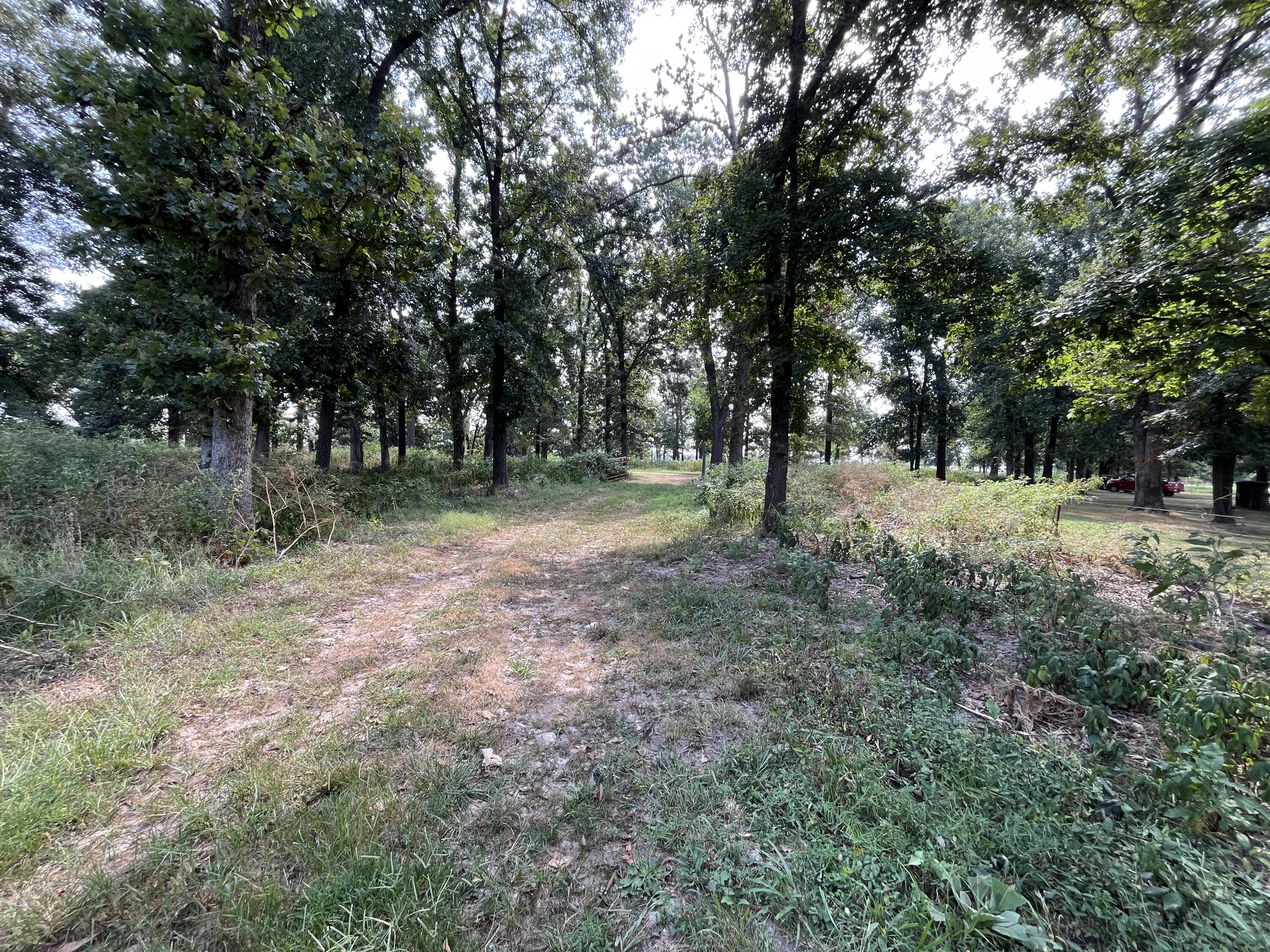 5351 State Highway West Property Photo 55