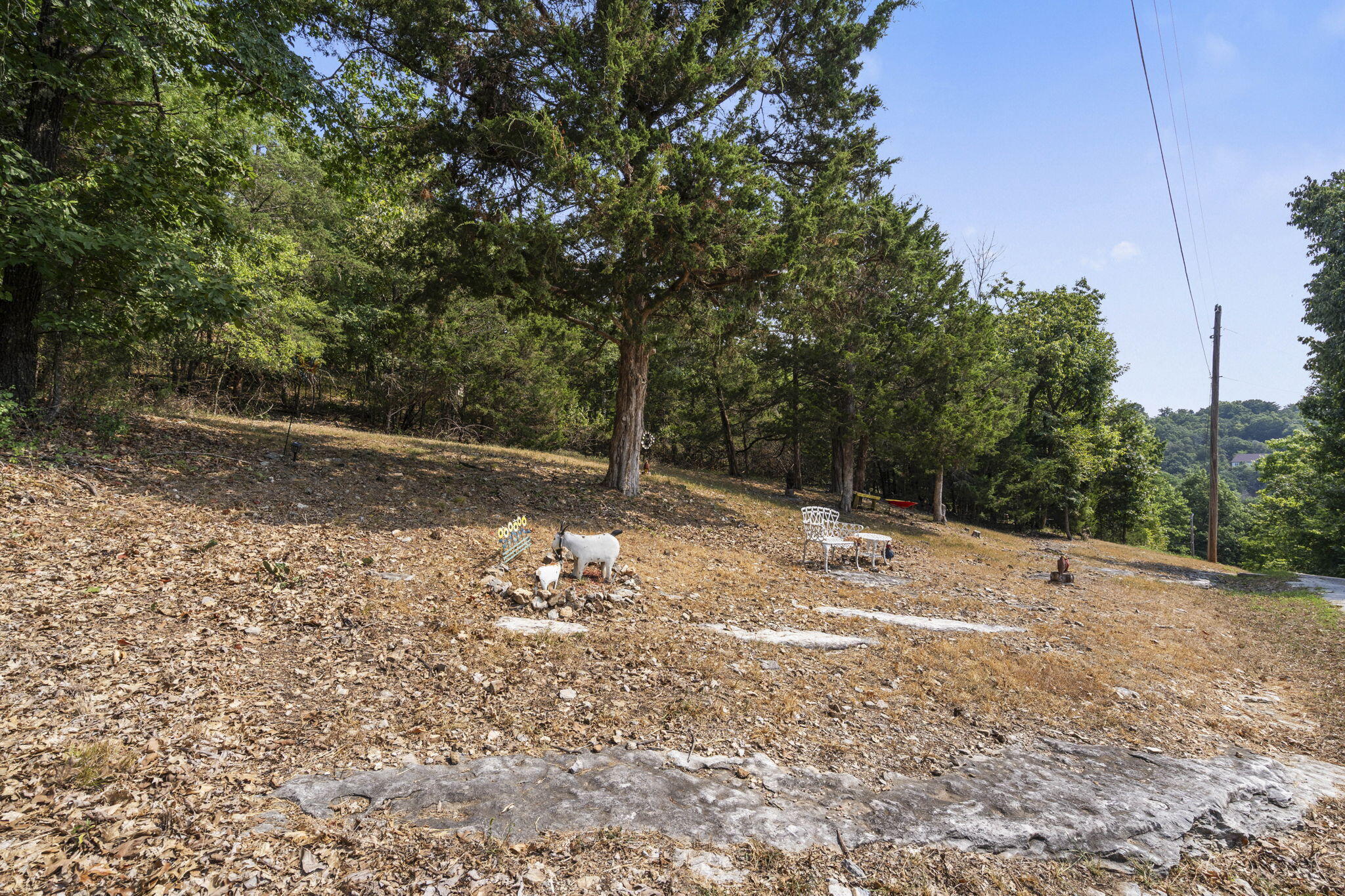 42 Golfcrest Circle Property Photo 56