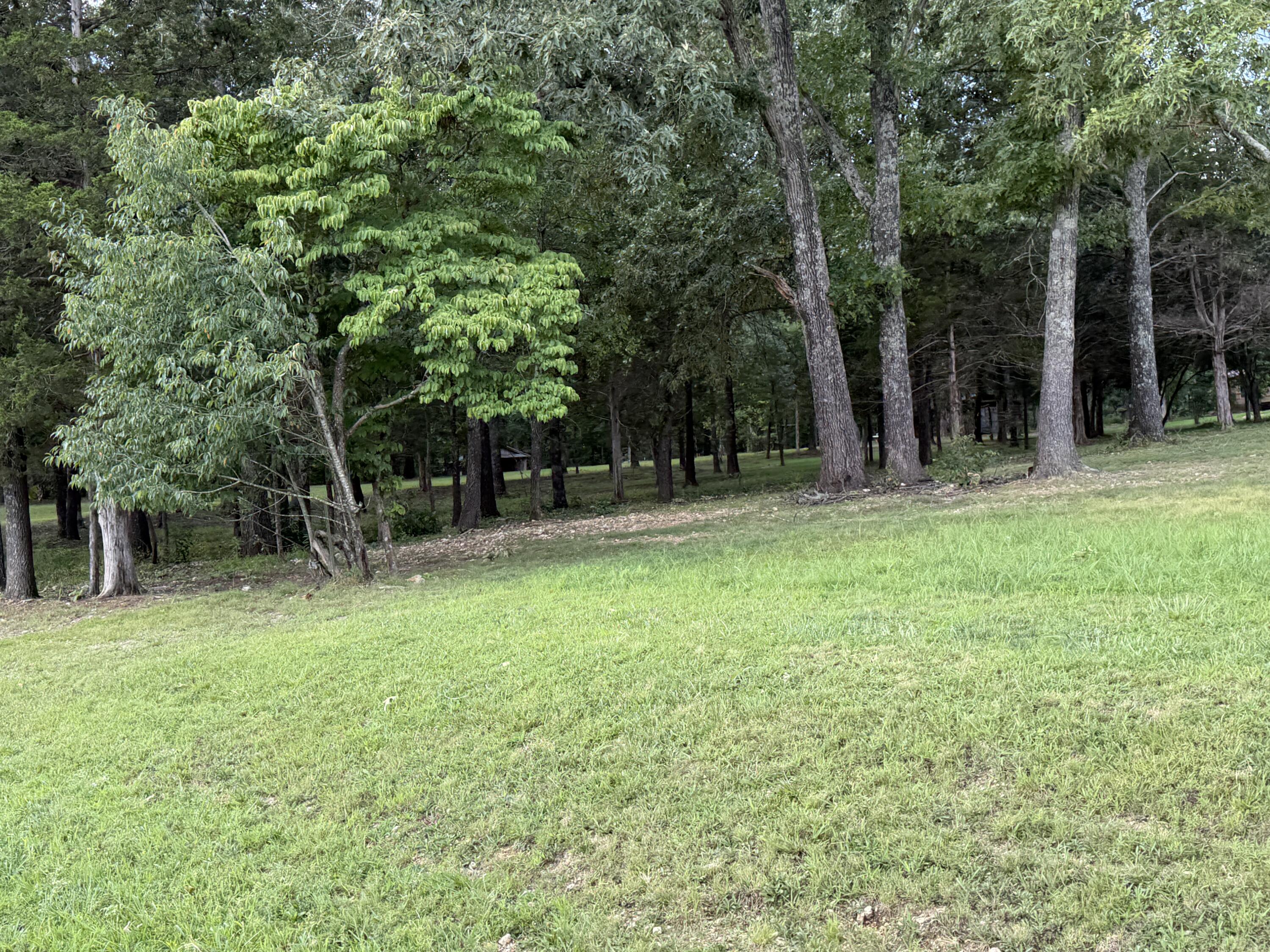 1767 Ff Highway Property Photo 80