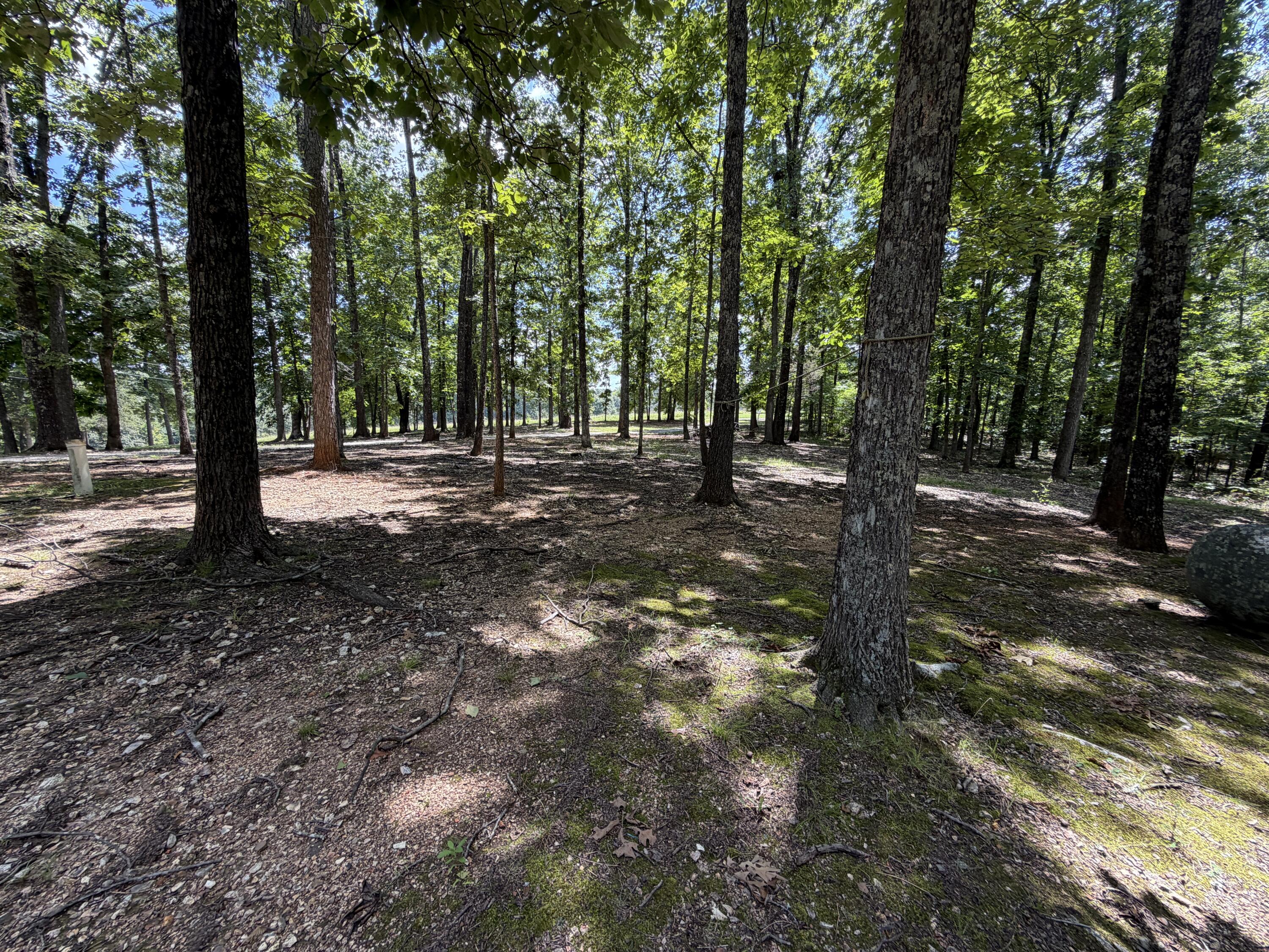 1767 Ff Highway Property Photo 111