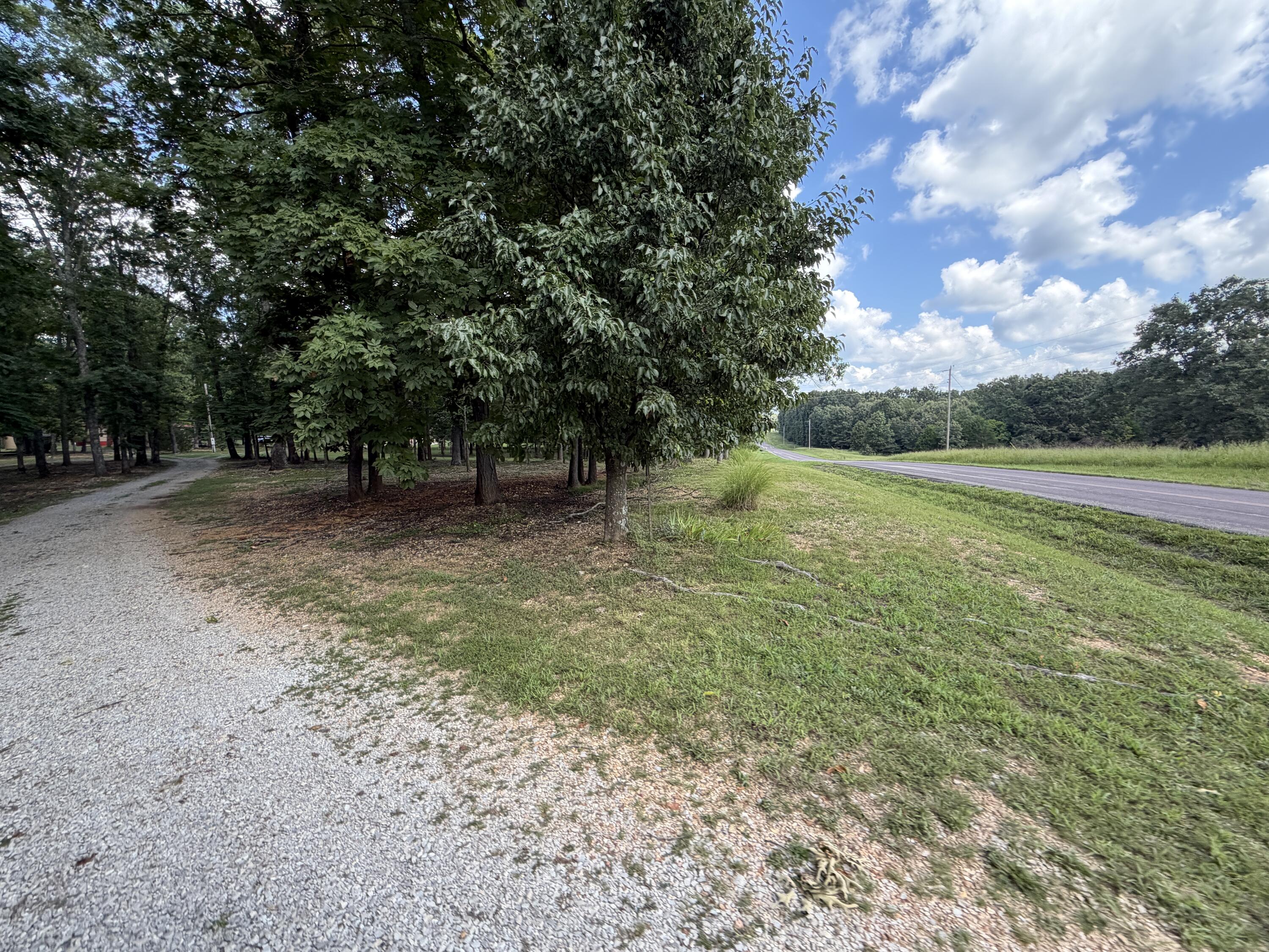 1767 Ff Highway Property Photo 119