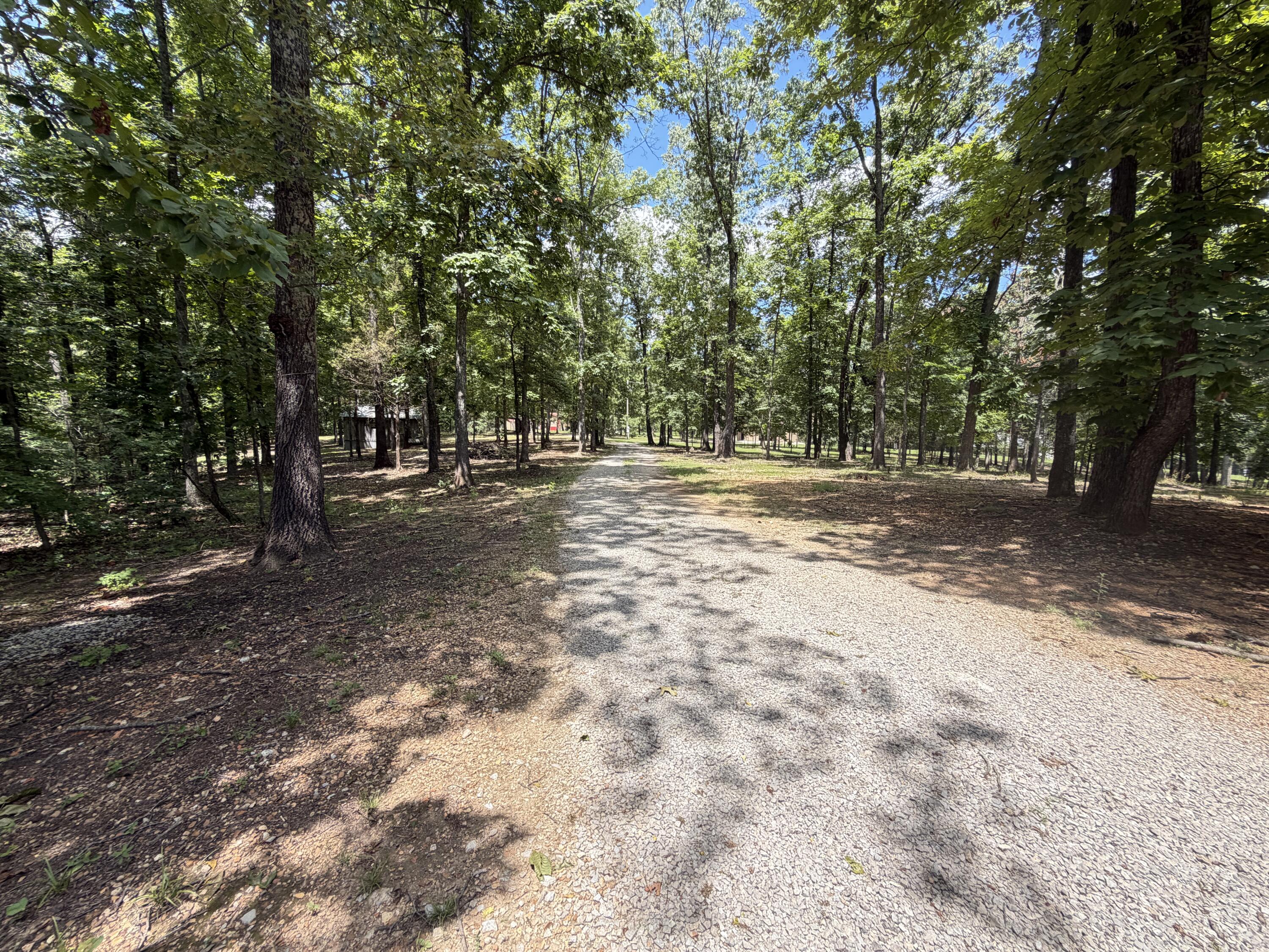 1767 Ff Highway Property Photo 122