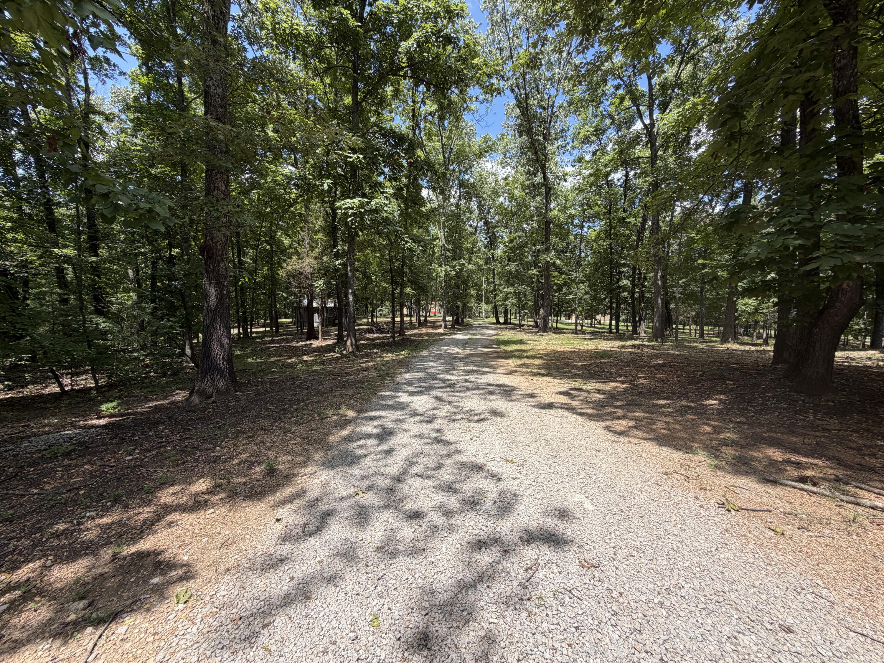 1767 Ff Highway Property Photo 123