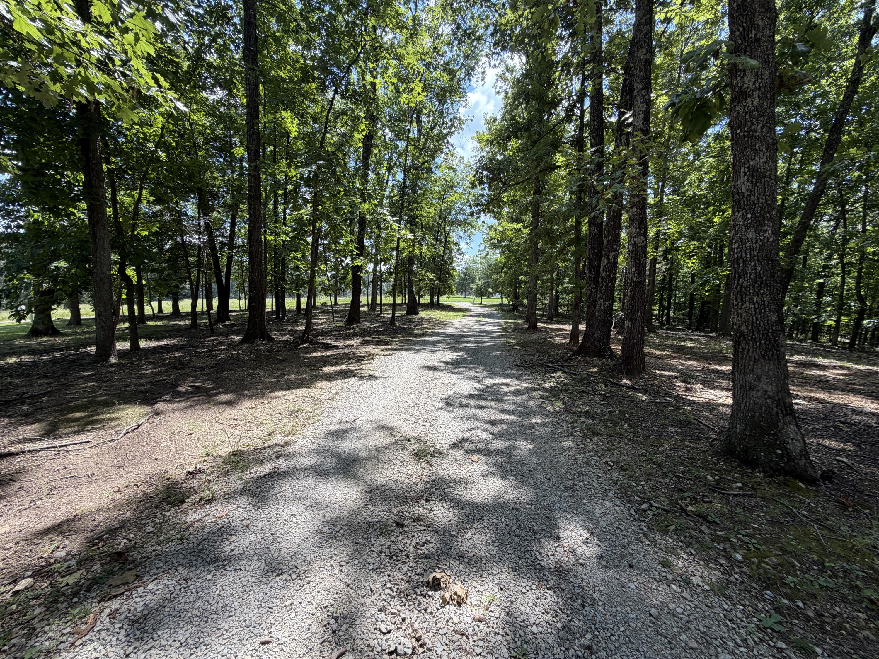 1767 Ff Highway Property Photo 125