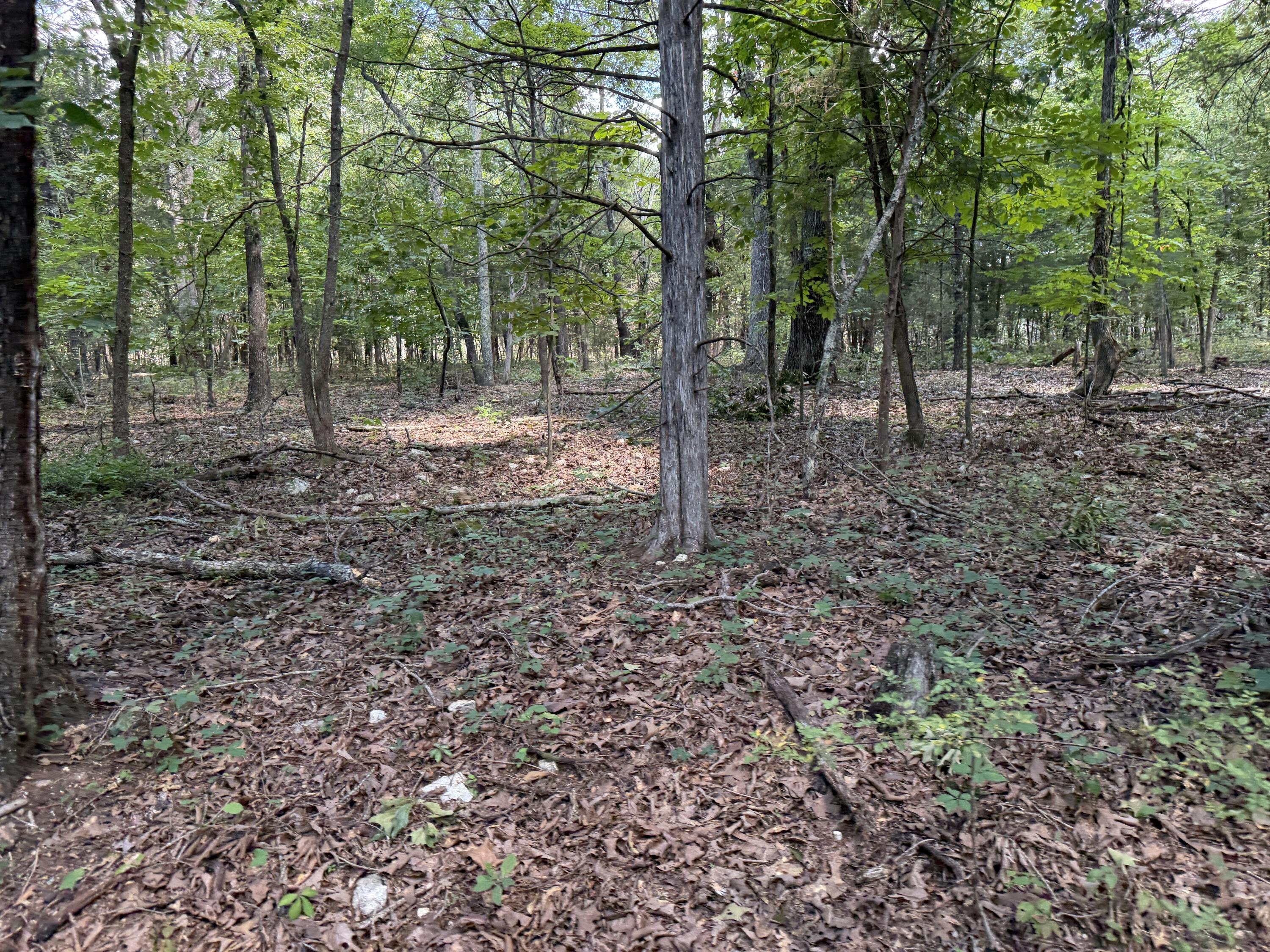 1767 Ff Highway Property Photo 128